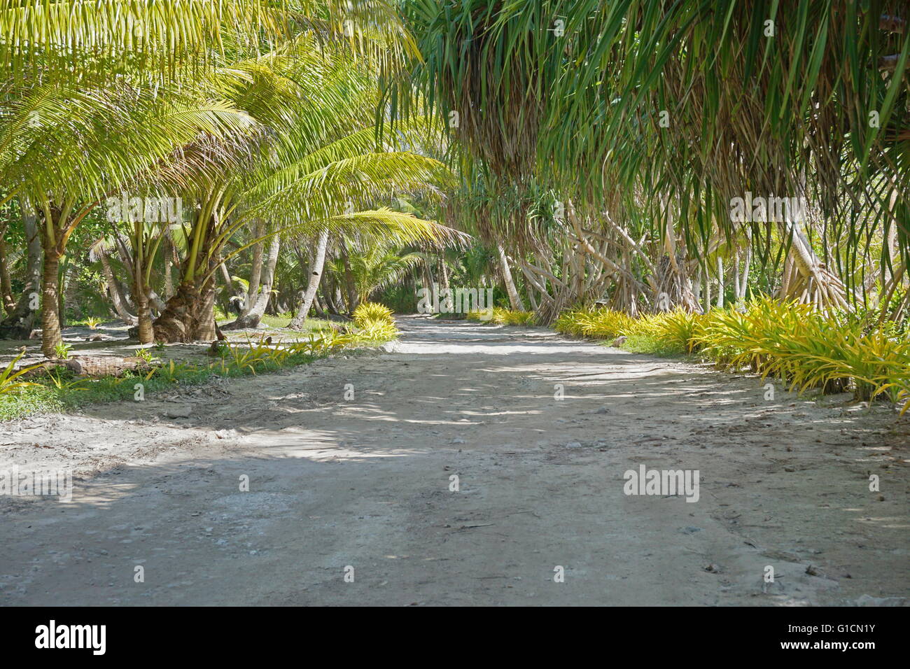 Gesäumt von tropischer Vegetation im Norden der Insel, Maeva, Französisch-Polynesien Huahine Nui Trail Stockfoto