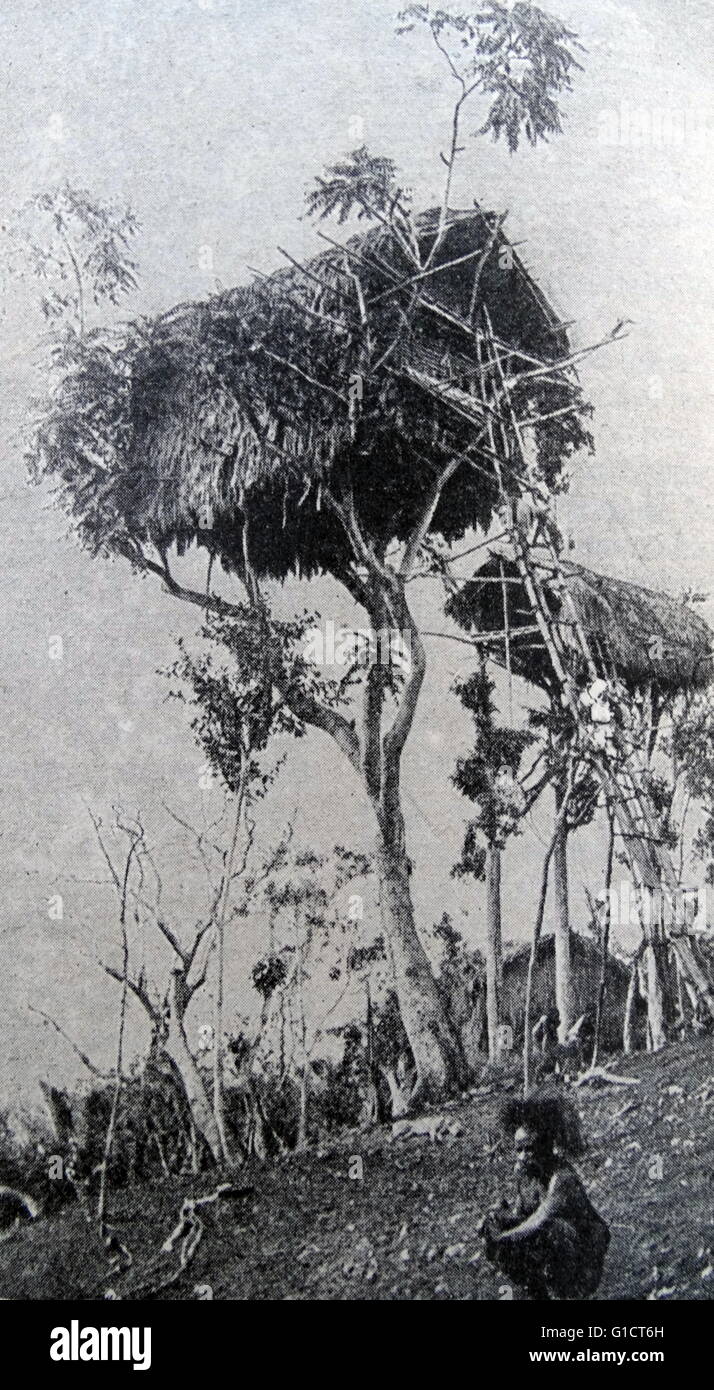 Baumbewohner im 20. Jahrhundert Stockfoto