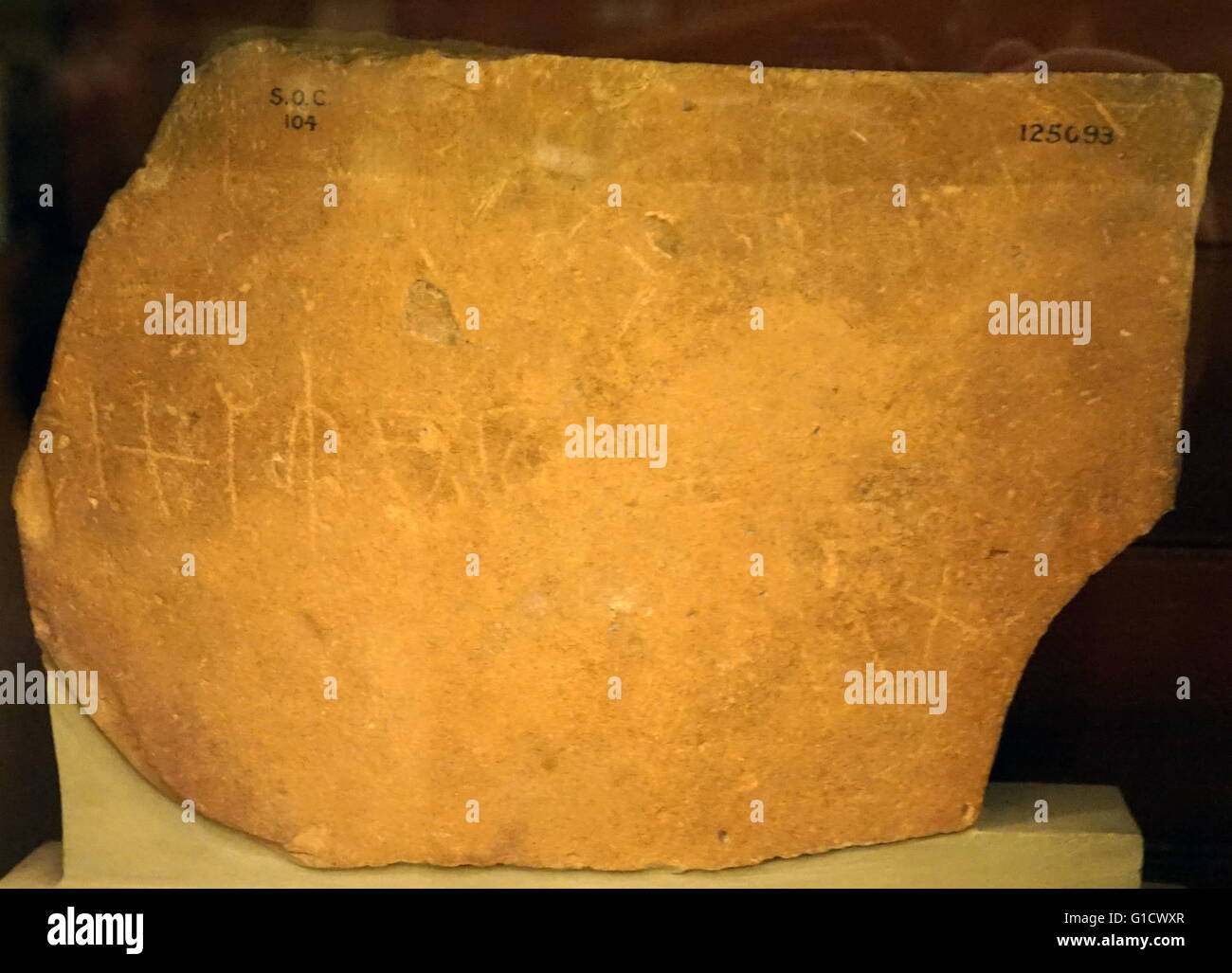 Fragment einer Sinaitic Inschrift von Wady Mokatteb in Arabien Petrae Stockfoto
