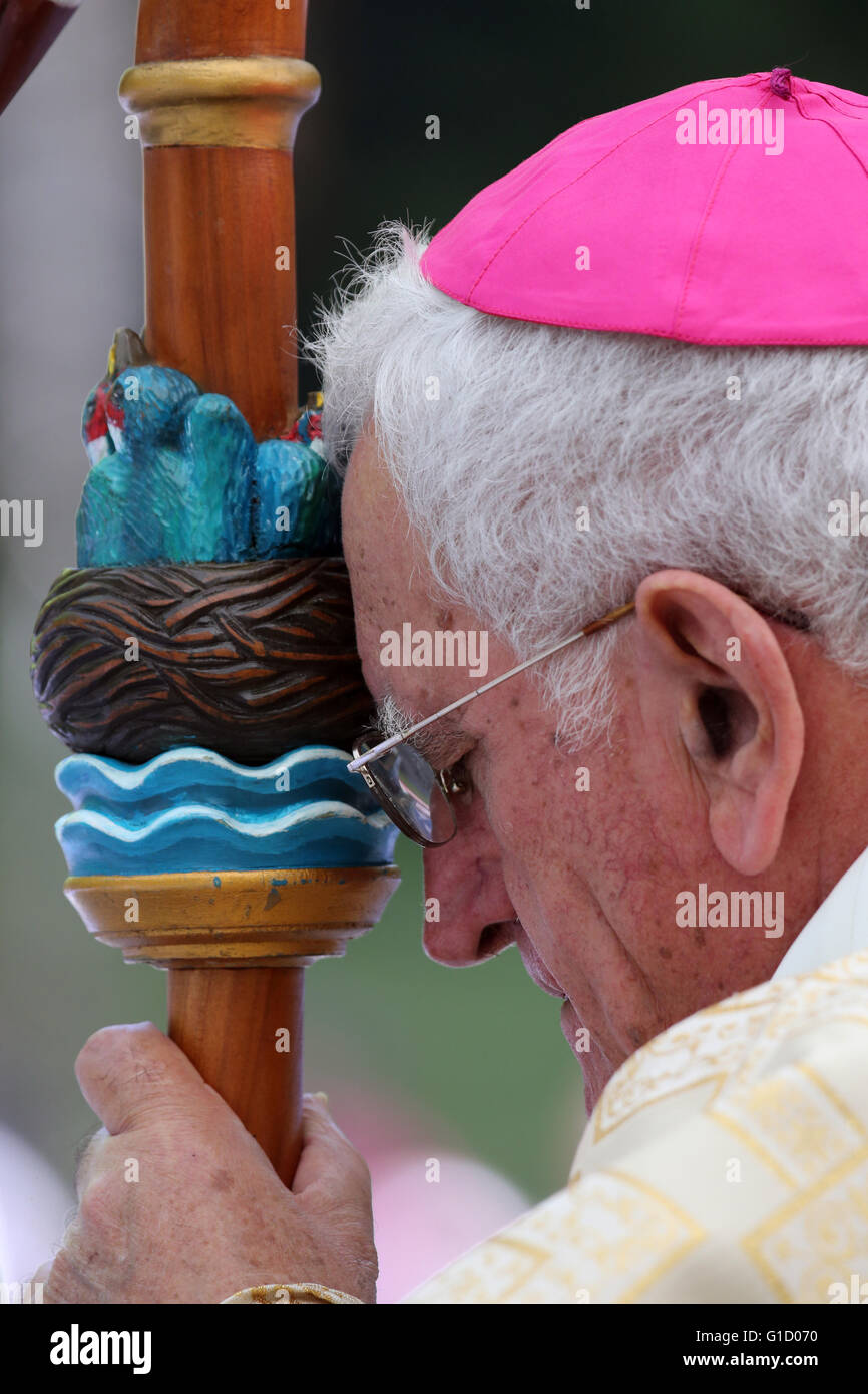 Des Bischofs Bischofsstab. Mgr Yves Boivineau.  La Roche-Sur-Foron. Frankreich. Stockfoto