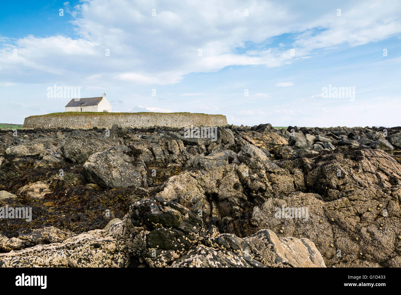 Die dramatische Kirche St Cwyfan auf Ynys Mon (Anglesey) Wales Stockfoto