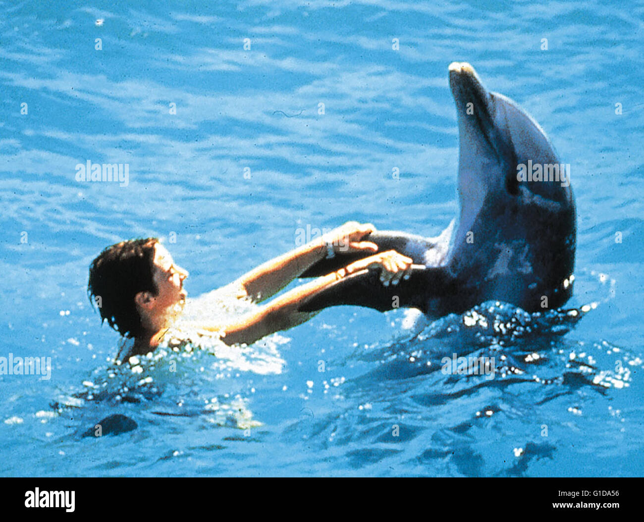 Flipper / Elijah Wood / Delphin, Stockfoto