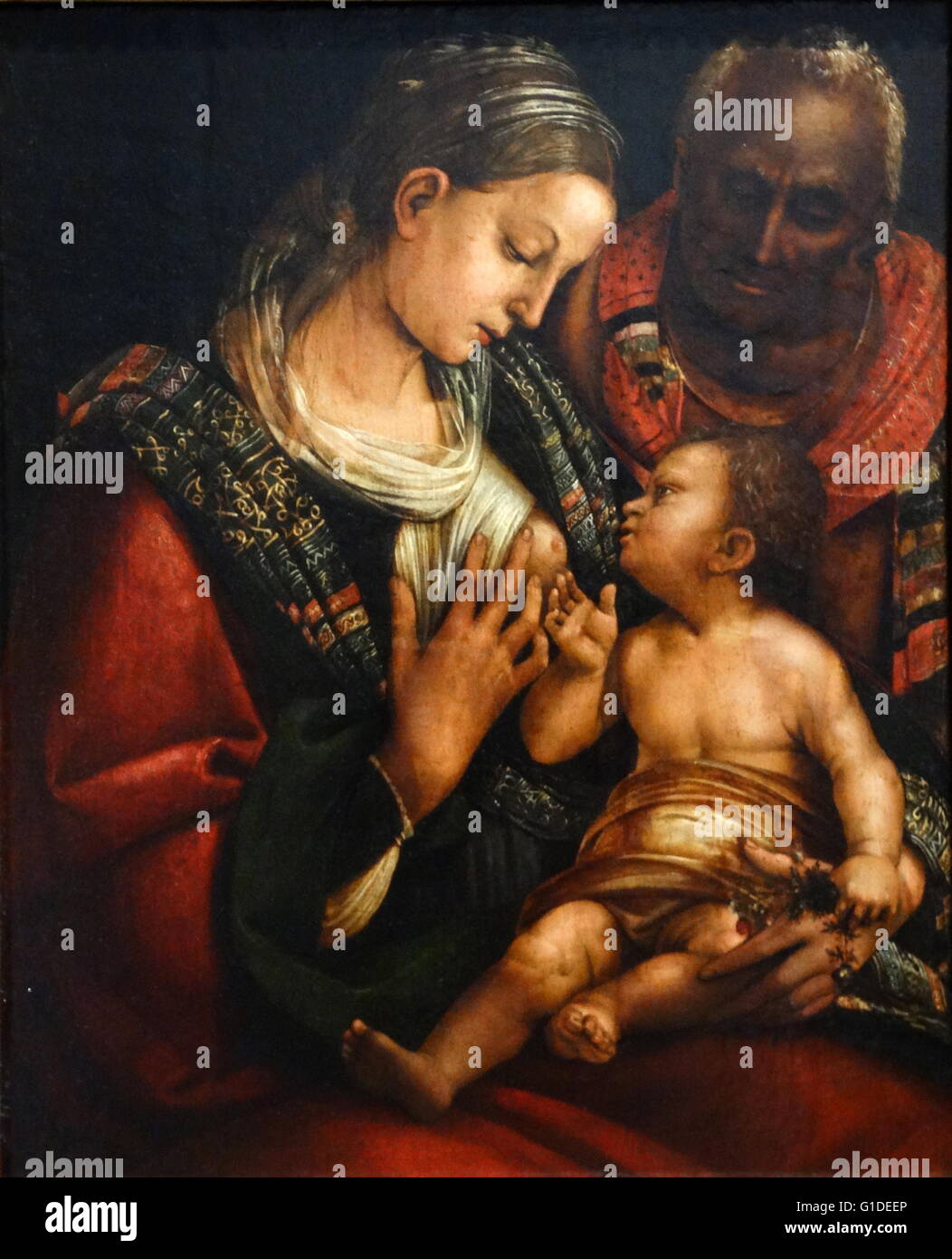 Gemälde mit dem Titel "Die Heilige Familie" von Luca Signorelli (1445-1523) eines italienischen Renaissance-Maler und Zeichner. Vom 15. Jahrhundert Stockfoto