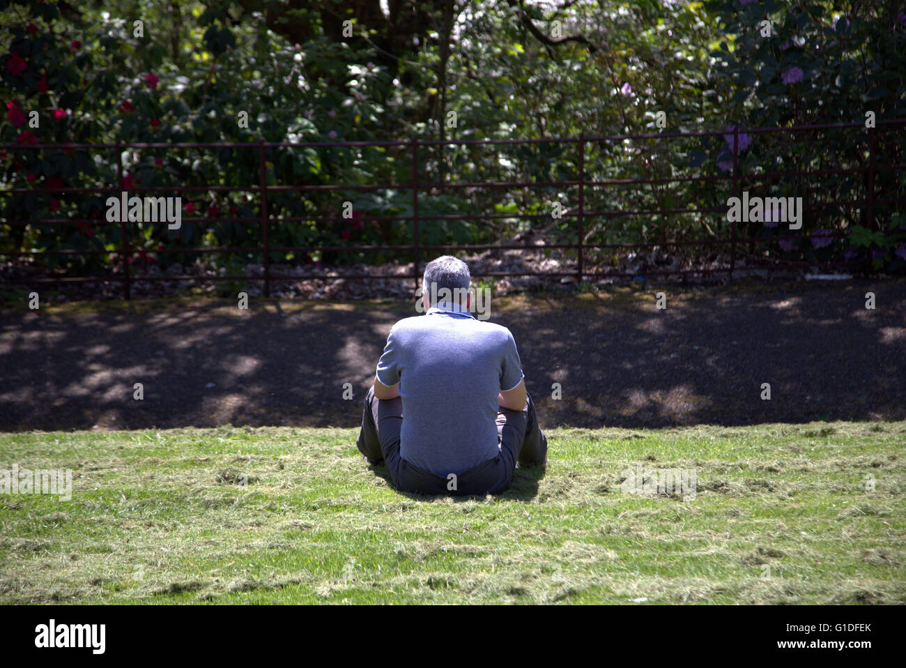 Mann sitzt allein im Kelvingrove Park, Glasgow, Schottland, UK. Stockfoto