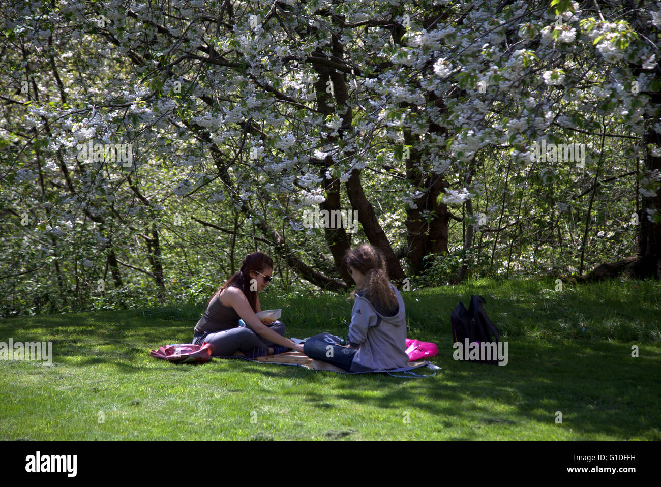 zwei junge Mädchen mit einem Picknick Kelvingrove Park, Glasgow, Scotland, UK. Stockfoto