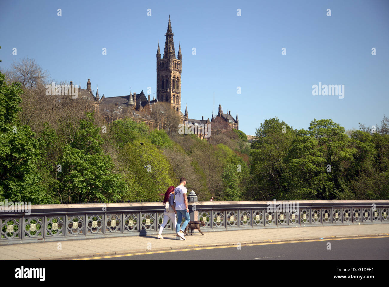 Universität von Glasgow aus Fluss Kelvin Brücke im Westend Kelvingrove Park, Glasgow, Scotland, UK. Stockfoto