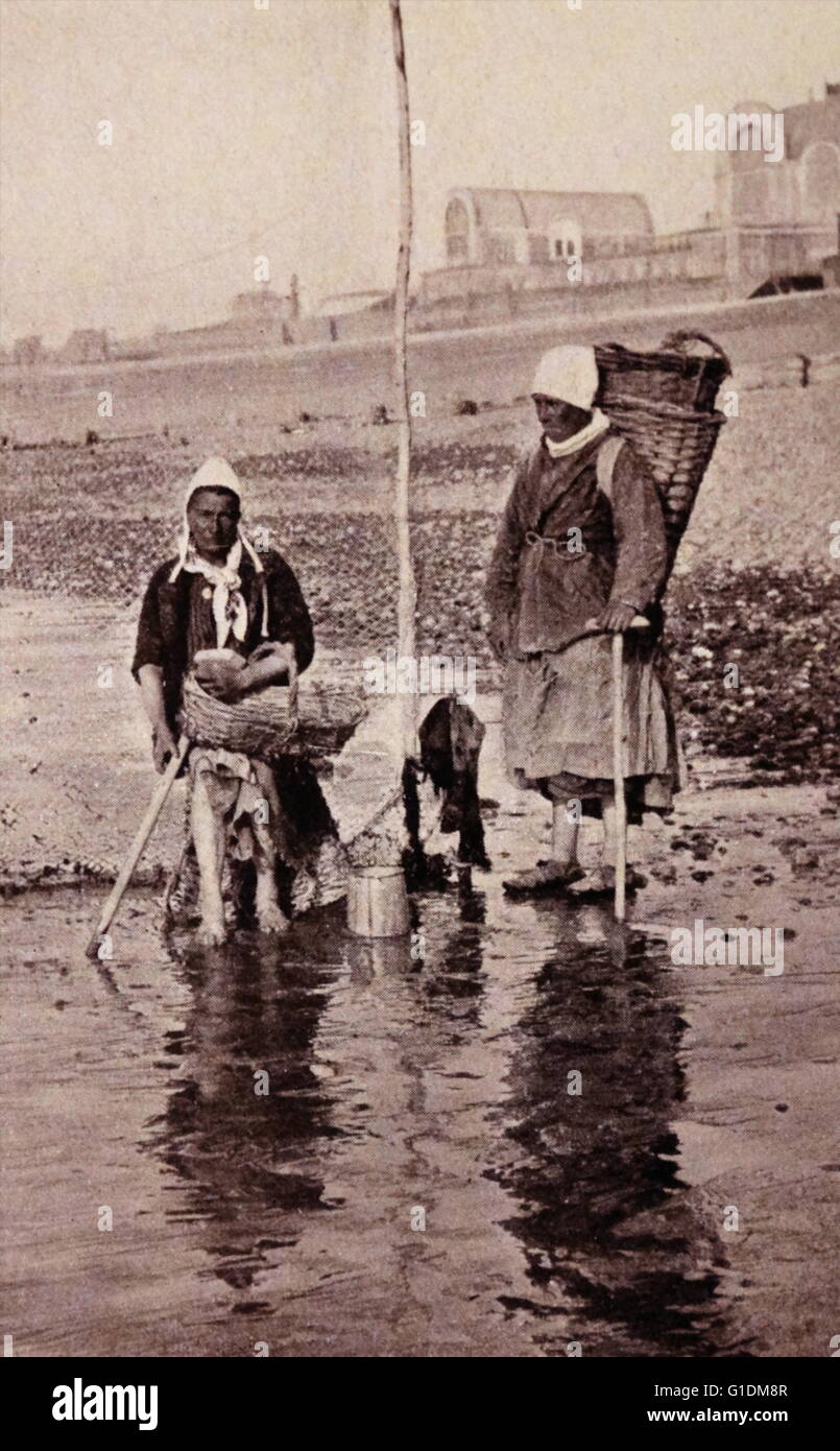 Drucken der Muschel-Sammler vor der Küste der Normandie. Vom 19. Jahrhundert Stockfoto