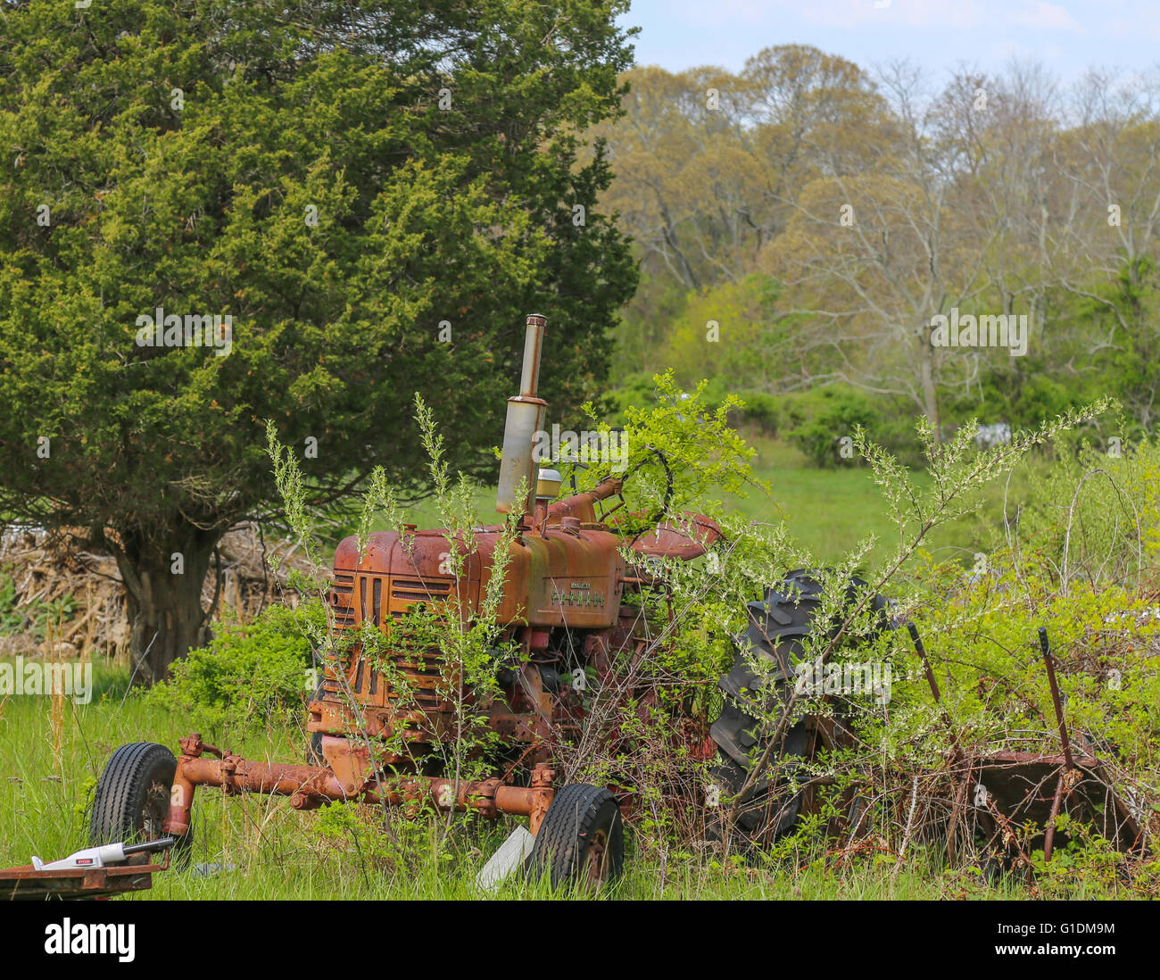 alte rote Bauernhof Traktor sitzen in einem bewachsenen Feld Stockfoto