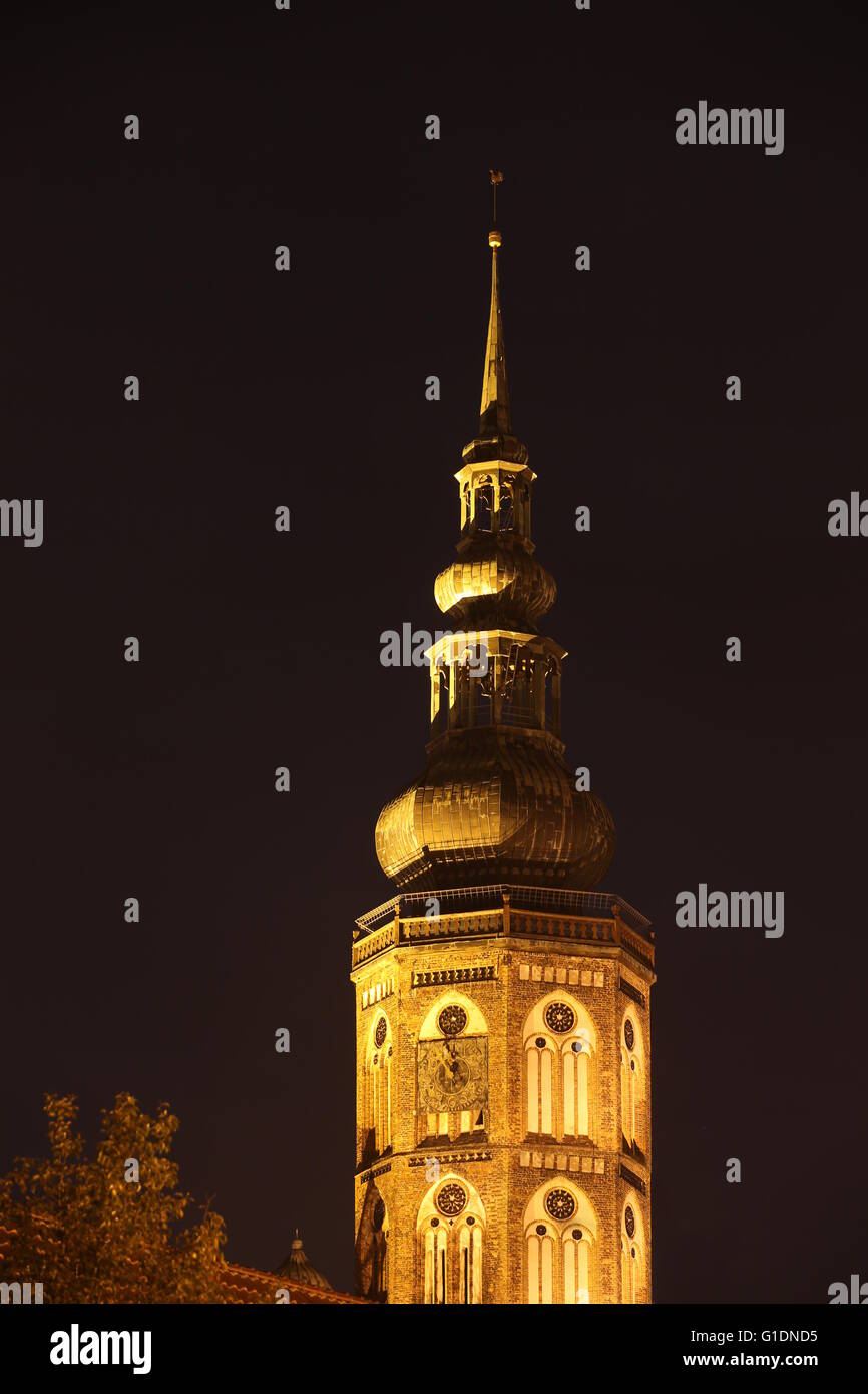 Kathedrale von Greifswald, Mecklenburg-Vorpommern, Deutschland (Dom St. Nikolai) in der Nacht beleuchtet durch Licht auf den Boden. Stockfoto