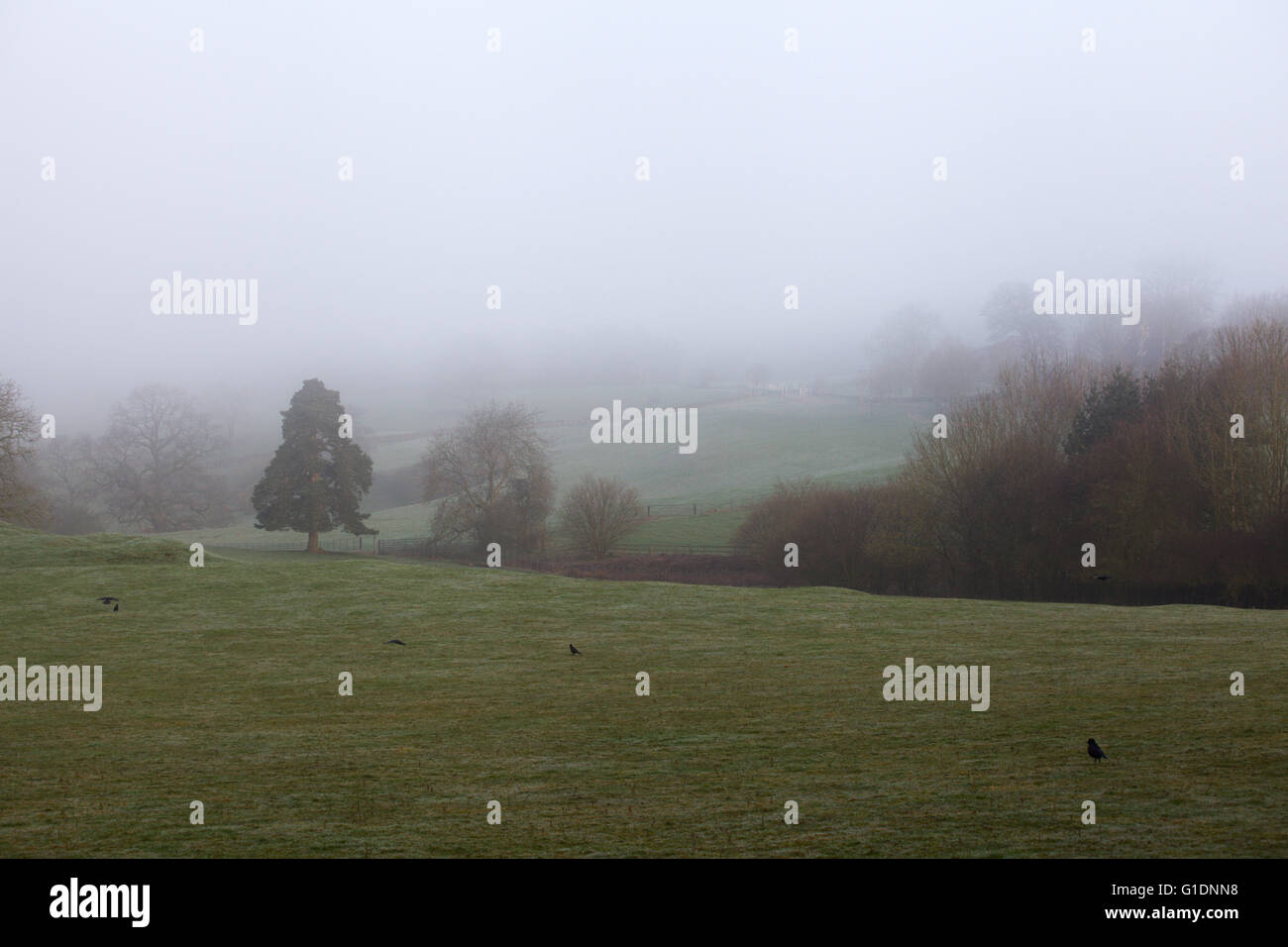 Morgennebel über Farmland in Farley in der Nähe von Alton Towers, Staffordshire, UK Stockfoto
