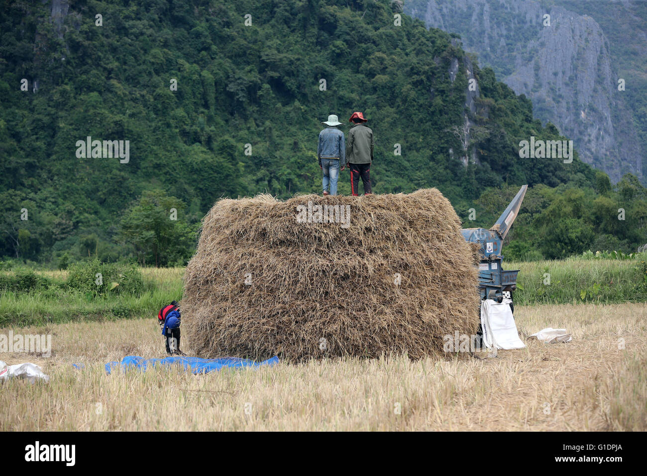 Landwirtschaft. Reisfelder mit herrlichem Berg-Kulisse.   Vang Vieng. Laos. Stockfoto