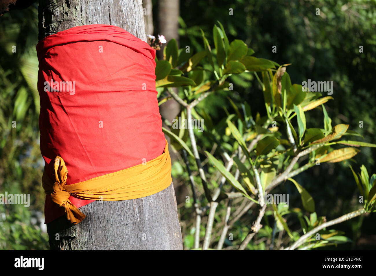 Buddhistischer Tempel Wat Inpeng.  Bunte Bändern an einen heiligen Baum gebunden. Vientiane. Laos. Stockfoto