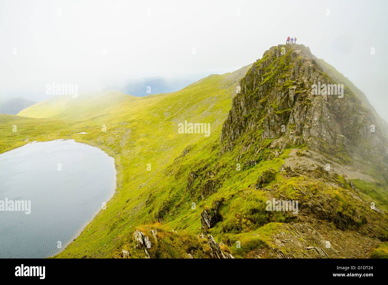 Wanderer im Nebel auf Striding Edge auf Lakelandpoeten im Lake District mit Red Tarn unten Stockfoto
