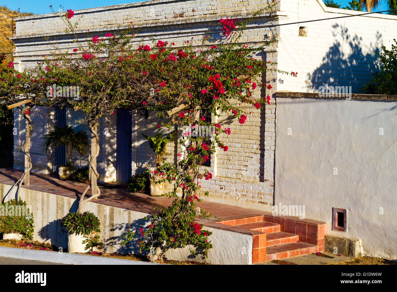 Bougainvillea ziert die Veranda ein Ziegelhaus, einst im Besitz von "Lee Moore", ein Künstler in Todos Santos, Baja, Mexiko. Stockfoto