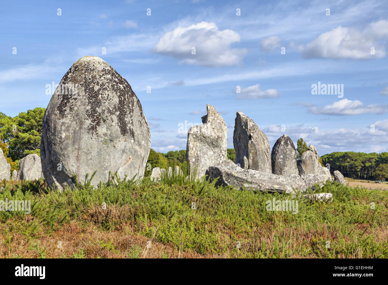 Gruppe von Menhire in Carnac, Bretagne, Frankreich. Stockfoto