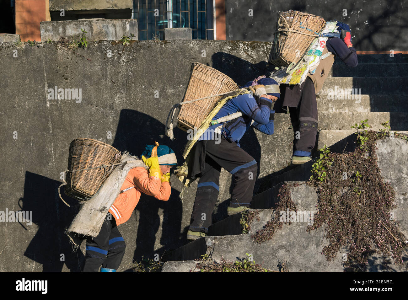 Drei Frauen schleppen Kies oben einige Treppen, Malizai Bereich, Yuanyang County, Provinz Yunnan, China Stockfoto