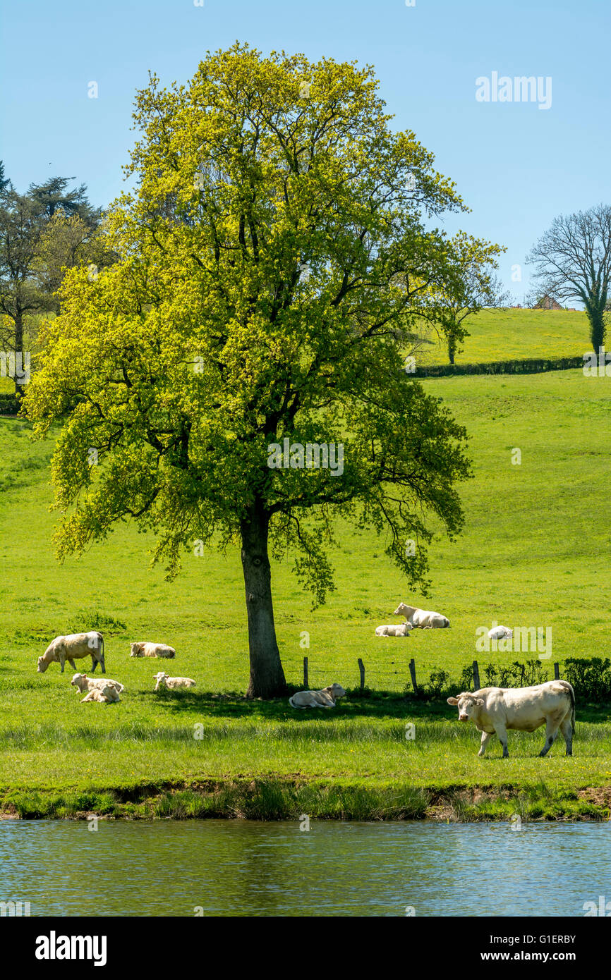 Dorf dun Fotos und Bildmaterial in hoher Auflösung Alamy
