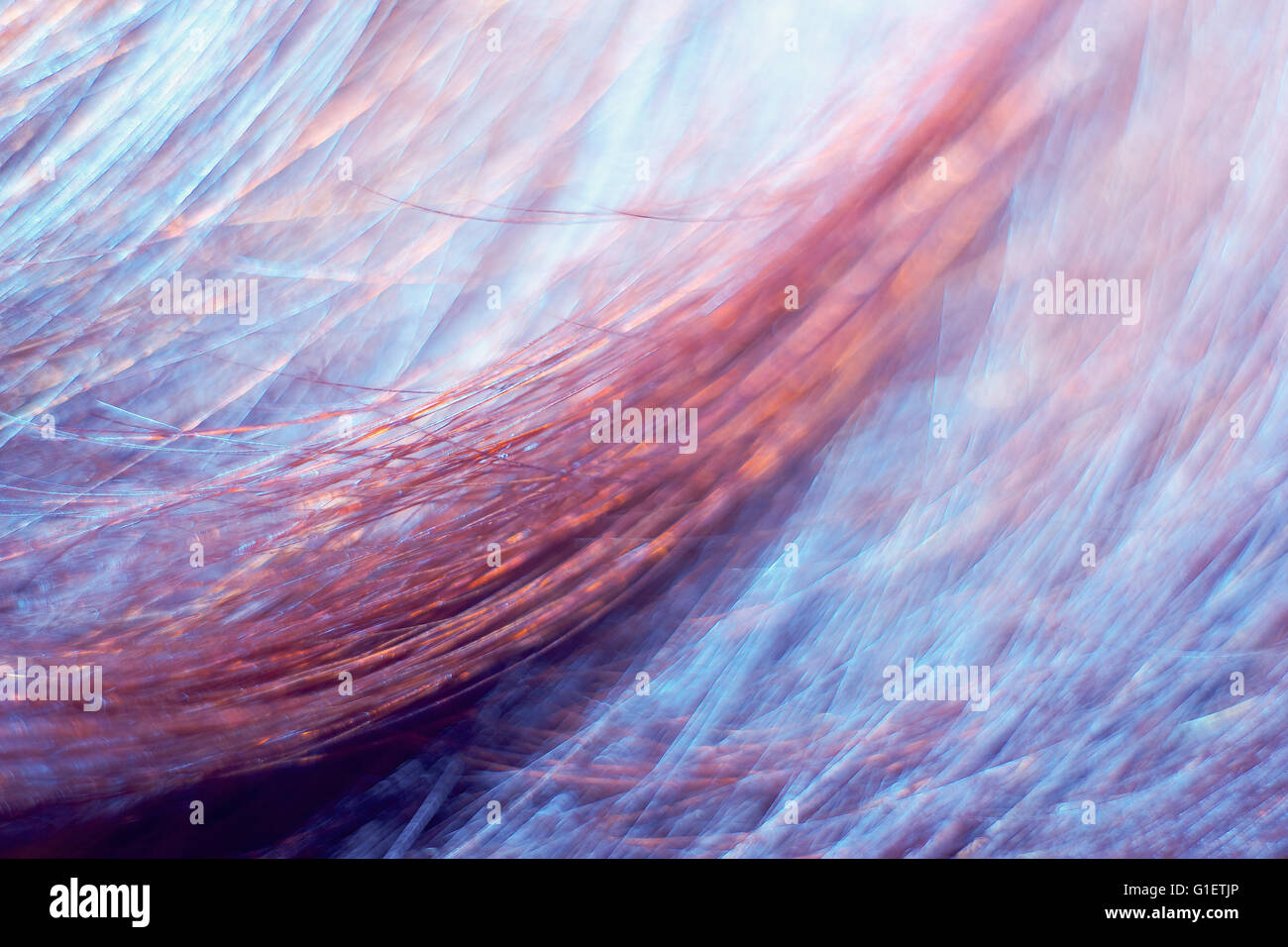 Abstrakte Hintergründe. Nahaufnahme eines menschlichen Haares. Stockfoto