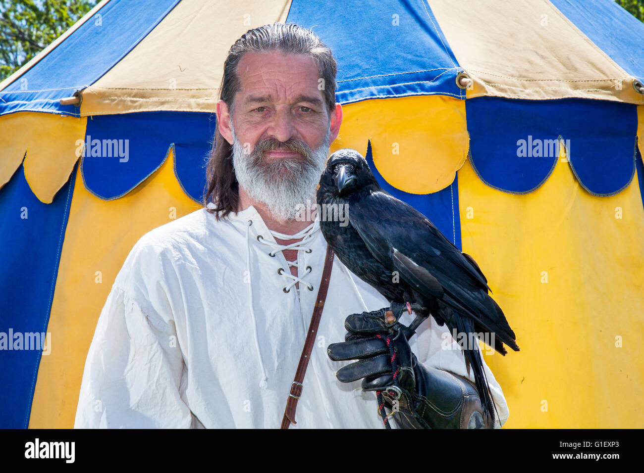 Robert Davis Kopf Falconer aus Talonted Federn, mit einem seltenen Ausstellung einen ein Jahr alten Handaufgezogene zahme Raven. Die Re-enactment group Historia Normannis ein 12. Jahrhundert inszeniert mittelalterliche Veranstaltung einschließlich Nachzuchten Ravens mit Displays im Coronation Park, Ormskirk, Lancashire, UK. Stockfoto