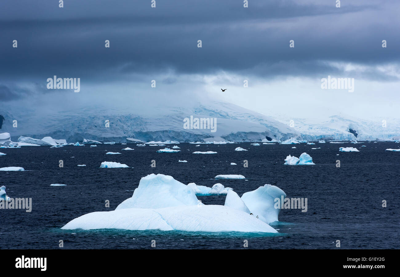 Blaue Treibeis und stimmungsvoller Himmel Portal Point antarktischen Halbinsel Antarktis Stockfoto