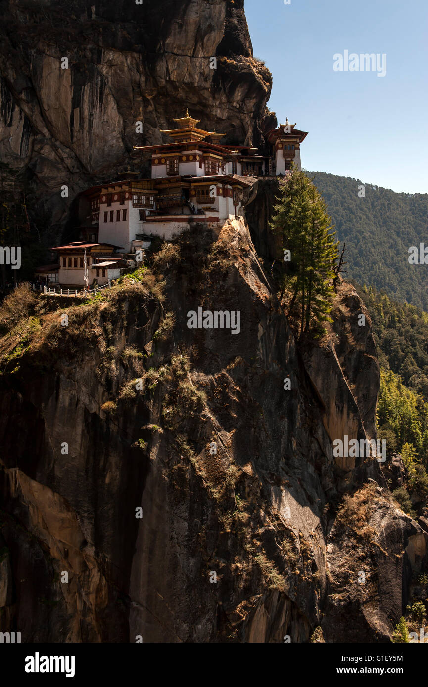 Blick auf Taktsang oder des Tigers Nest Kloster Paro-Tal-Bhutan Stockfoto