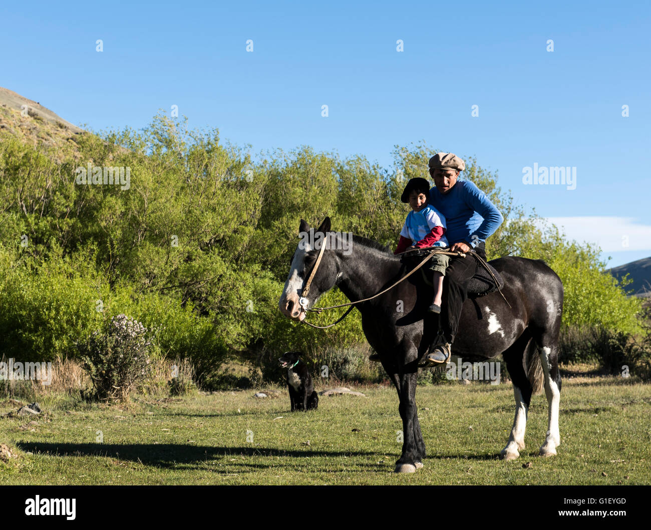 Gaucho auf Pferd (Equus Ferus) Calafate Patagonien Argentinien Stockfoto