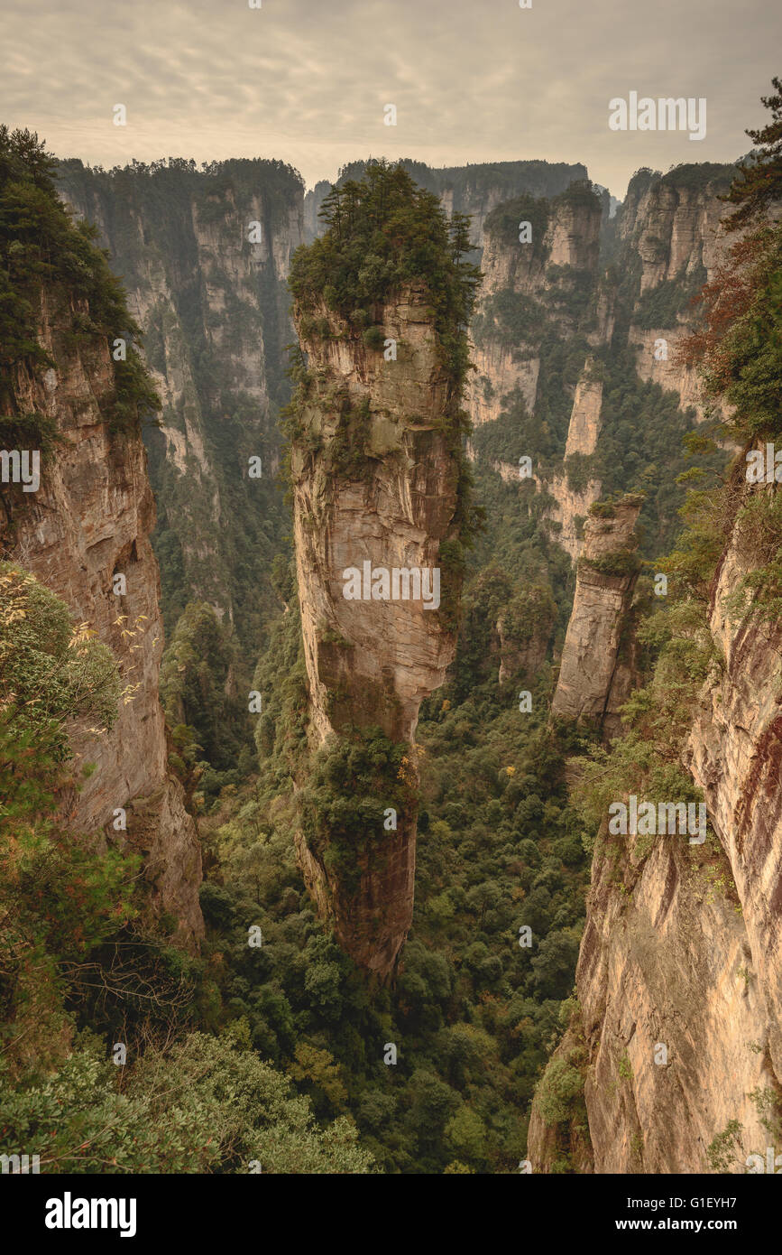 Eine Sandsteinsäule in Zhangjiajie umbenannt Hallelujah Mountain, nach dem Film avatar Stockfoto