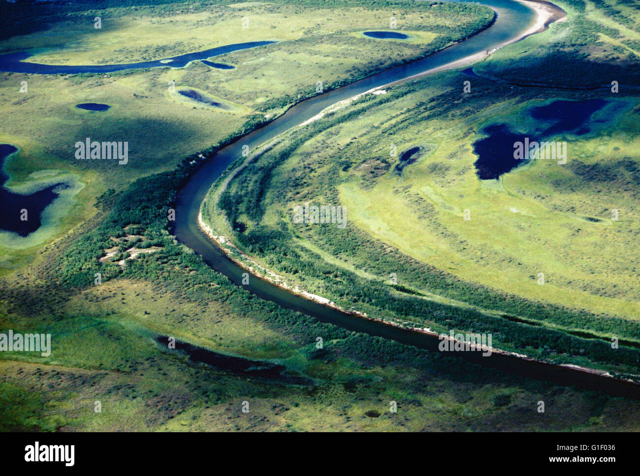 Luftaufnahme des abgelegenen Belaja Fluss; Sibirien; Tschuktschen-Halbinsel; Magadan Region; Russische Föderation Stockfoto