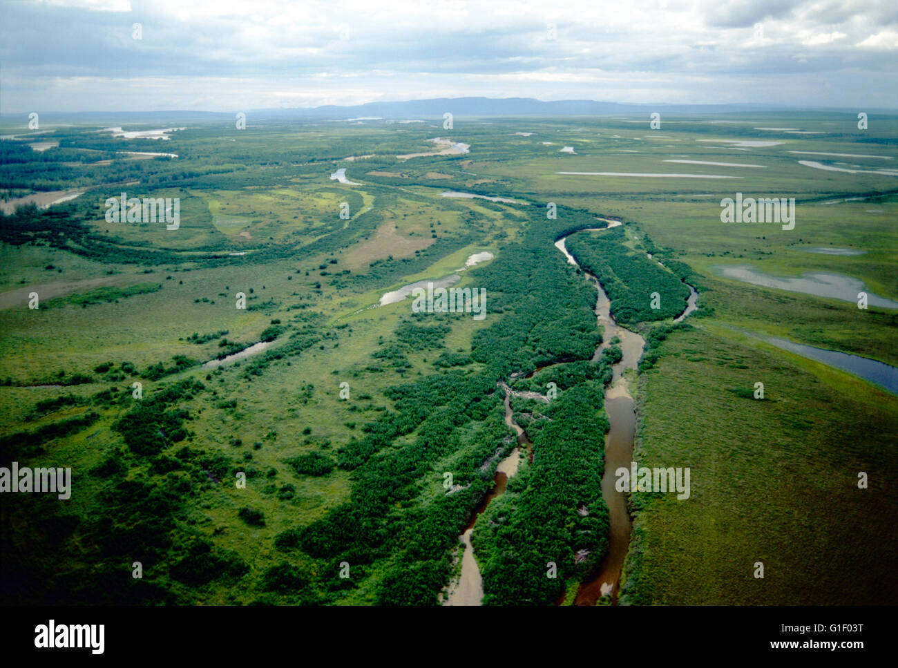 Luftaufnahme des abgelegenen Belaja Fluss; Sibirien; Tschuktschen-Halbinsel; Magadan Region; Russische Föderation Stockfoto