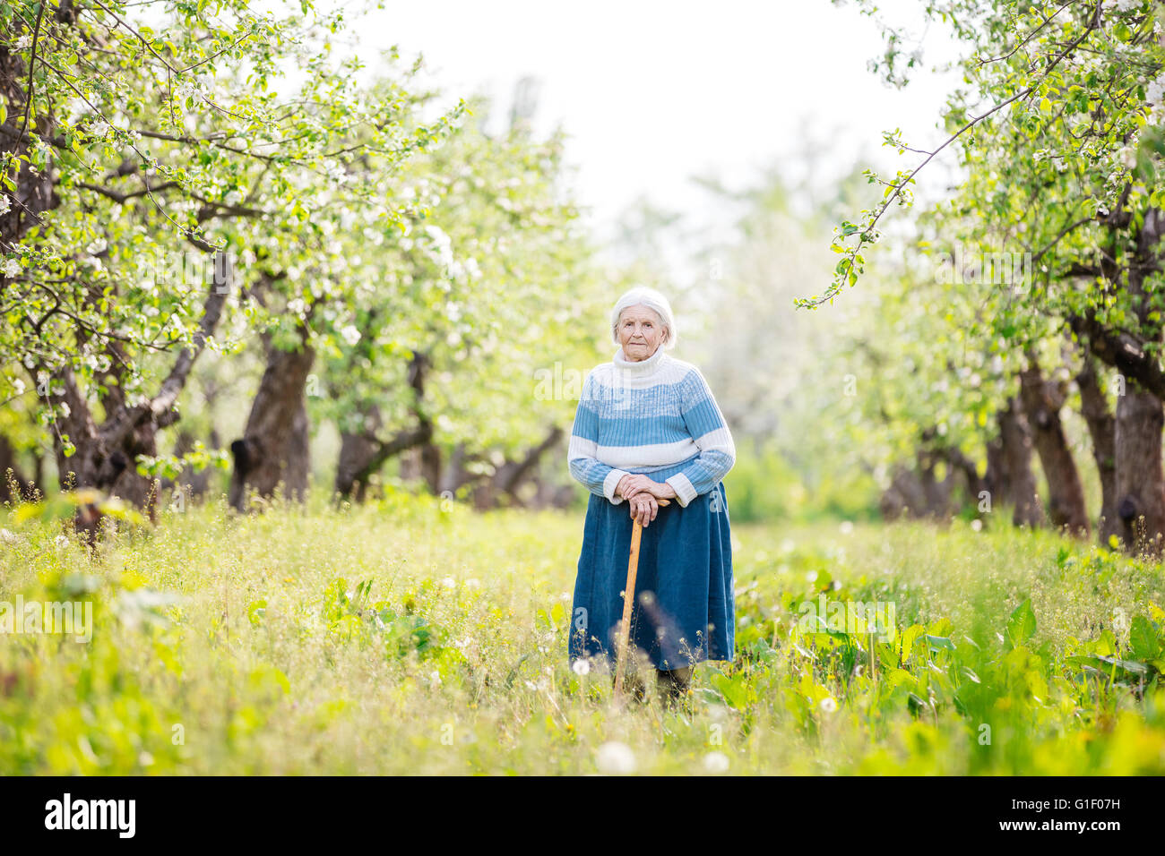 Ältere Frau im blühenden Obstgarten Stockfoto