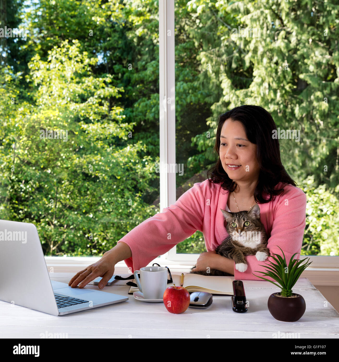 Reife Frau, trägt Morgen Kleidung, halten ihre Familie Haustieren Katze während der Arbeit von zu Hause vor große Fenster Stockfoto