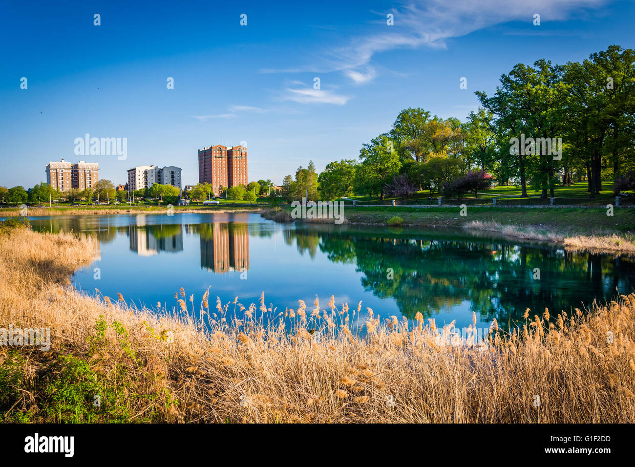 Gräser und Gebäude entlang Druide See, Druid Hill Park, Baltimore, Maryland. Stockfoto Gräser und Gebäude entlang Druide See, Druid Hill Park, Baltimore, Maryland. Stockfoto