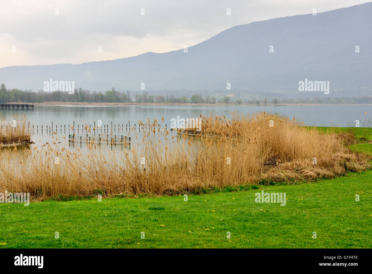 Schilf See (Lac) du Bouget, Frankreich Südost Stockfoto