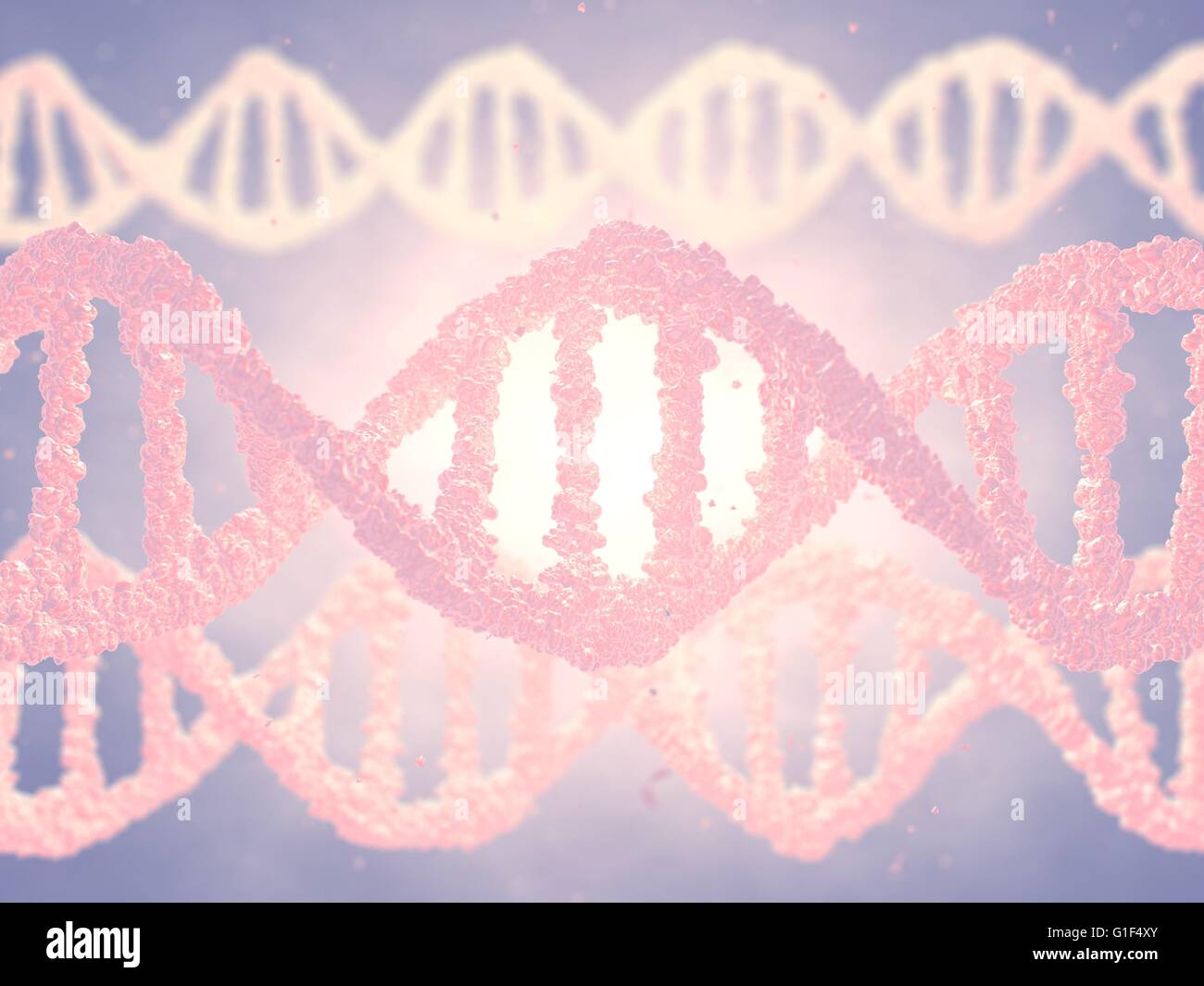 DNA-Doppelhelix Moleküle, Gentechnik Stockfoto