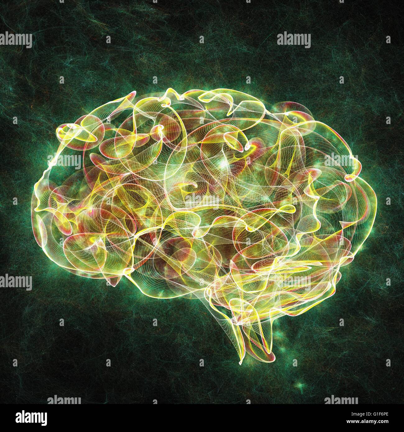 Menschliche Gehirn, Abbildung. Stockfoto