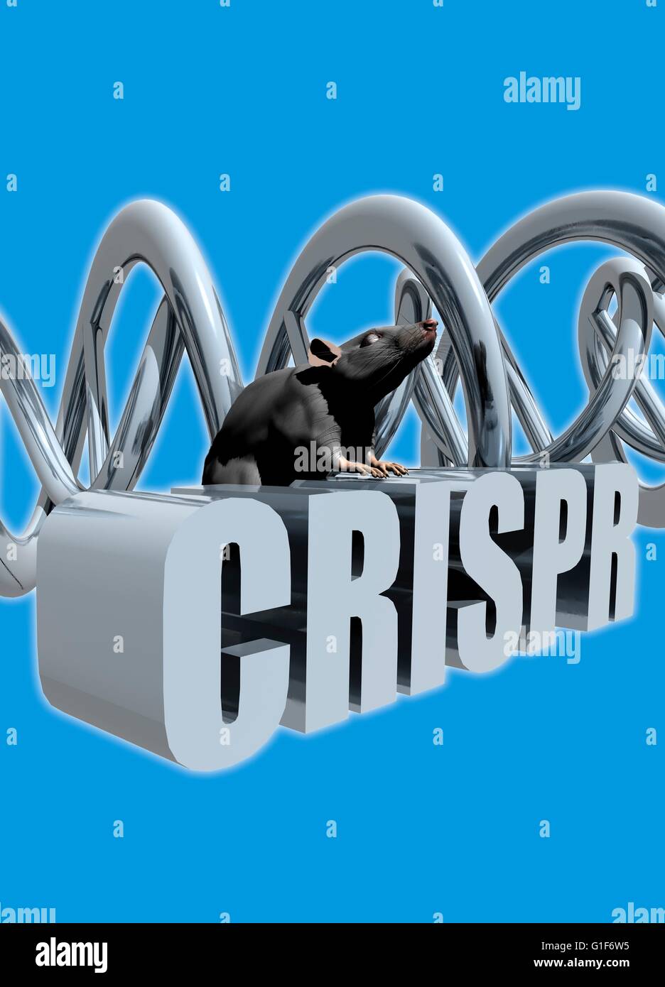 CRISPR-gen bearbeiten, konzeptionelle Darstellung. Stockfoto