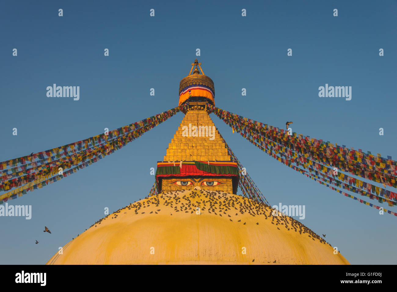 Boudhanath Stupa mit Hunderten von Tauben und Gebet Fahnen in Kathmandu, Nepal Stockfoto