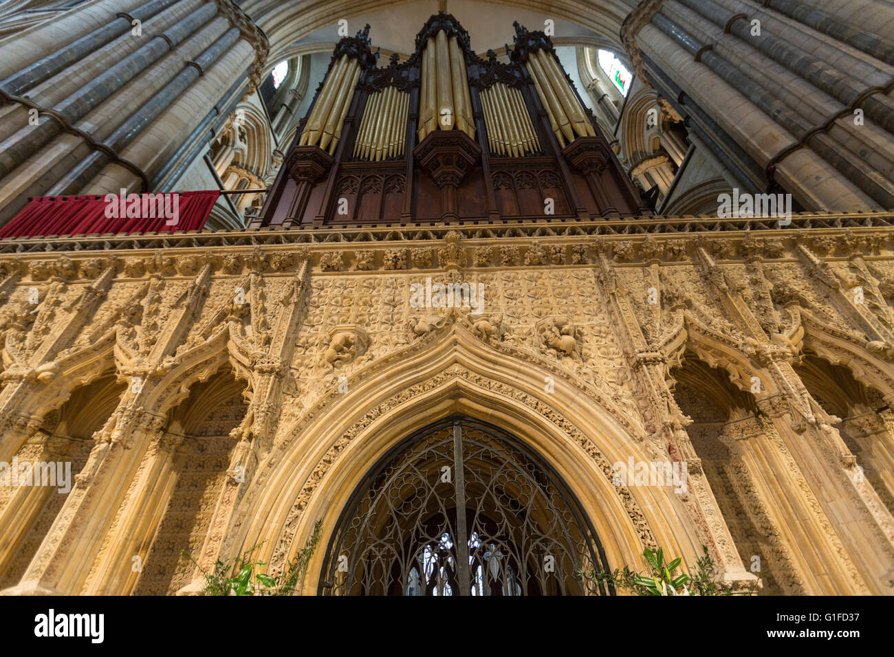 Geschnitzten Stein Bildschirm unterhalb der Orgelpfeifen zu teilen, das Langhaus und Chor, Kathedrale von Lincoln, Lincoln, Lincolnshire, England, UK Stockfoto