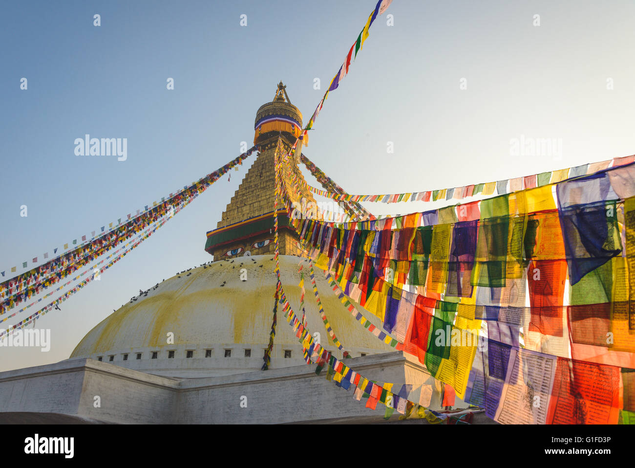 Boudhanath Stupa mit Hunderten von Tauben und Gebet Fahnen in Kathmandu, Nepal Stockfoto