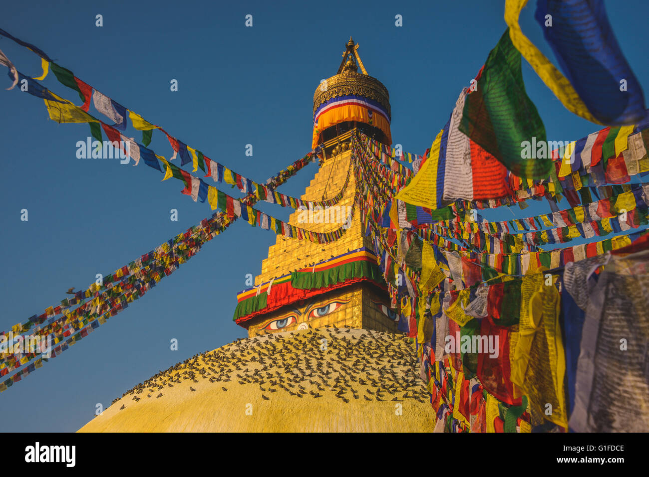 Boudhanath Stupa mit Hunderten von Tauben und Gebet Fahnen in Kathmandu, Nepal Stockfoto