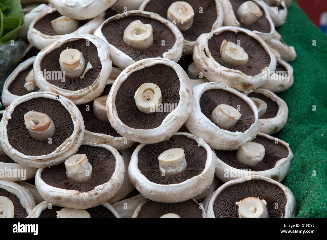 Portabella Pilz Hintergrund auf Markthintergrund Stockfoto