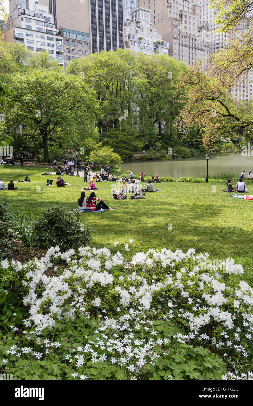 Der Teich, Central Park, New York, USA Stockfoto