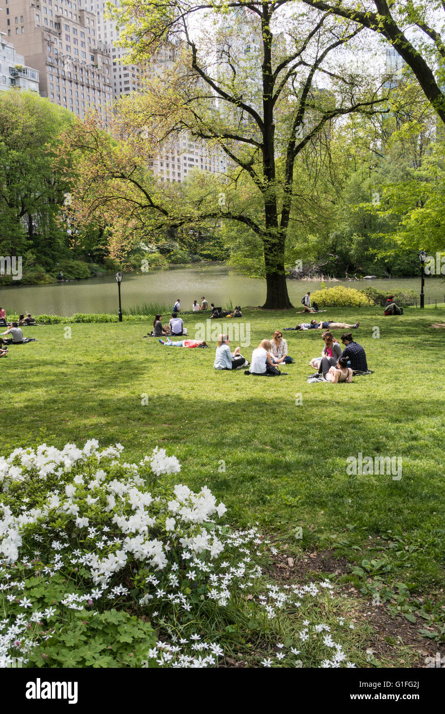 Der Teich, Central Park, New York, USA Stockfoto