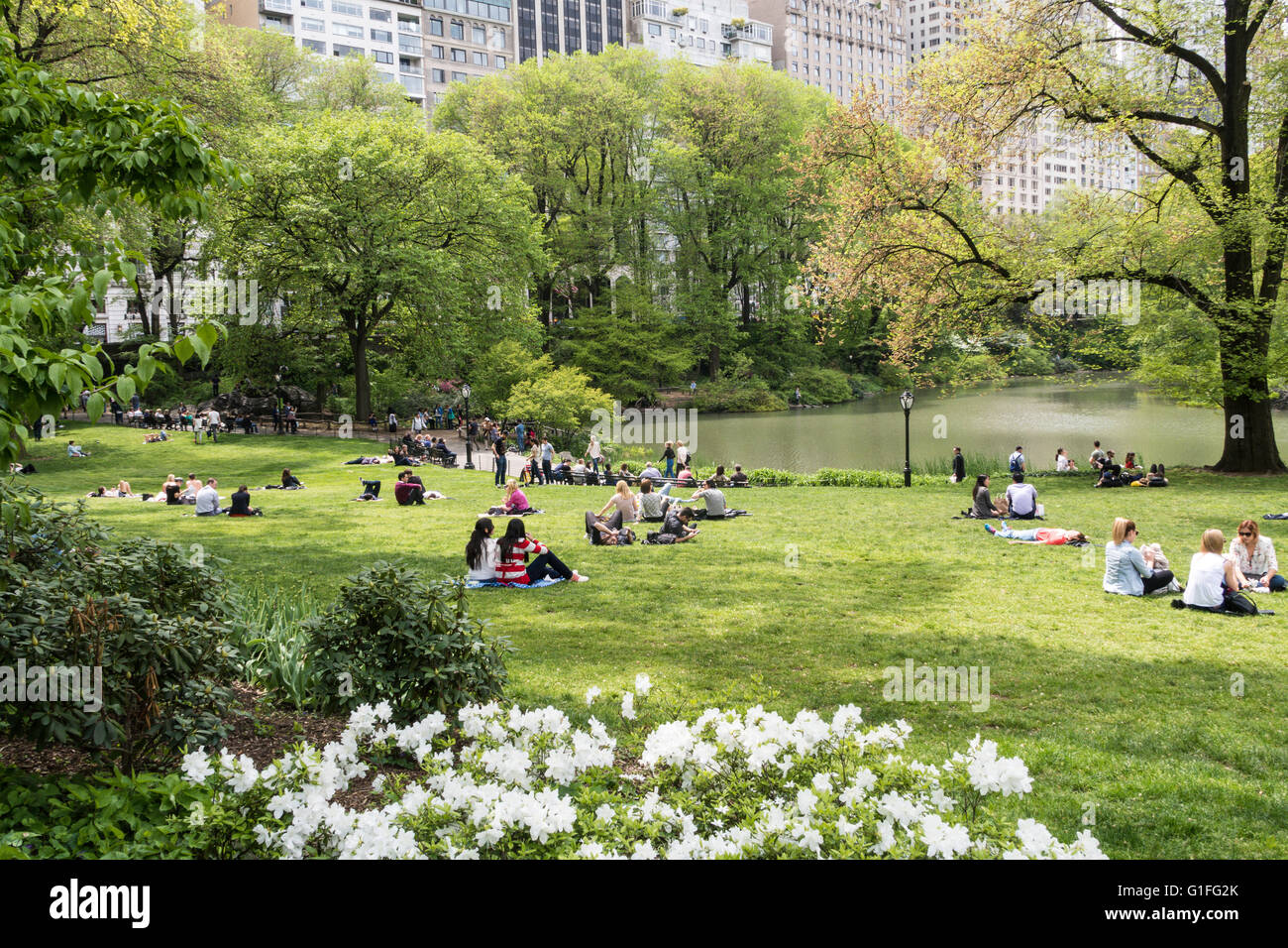 Der Teich, Central Park, New York, USA Stockfoto