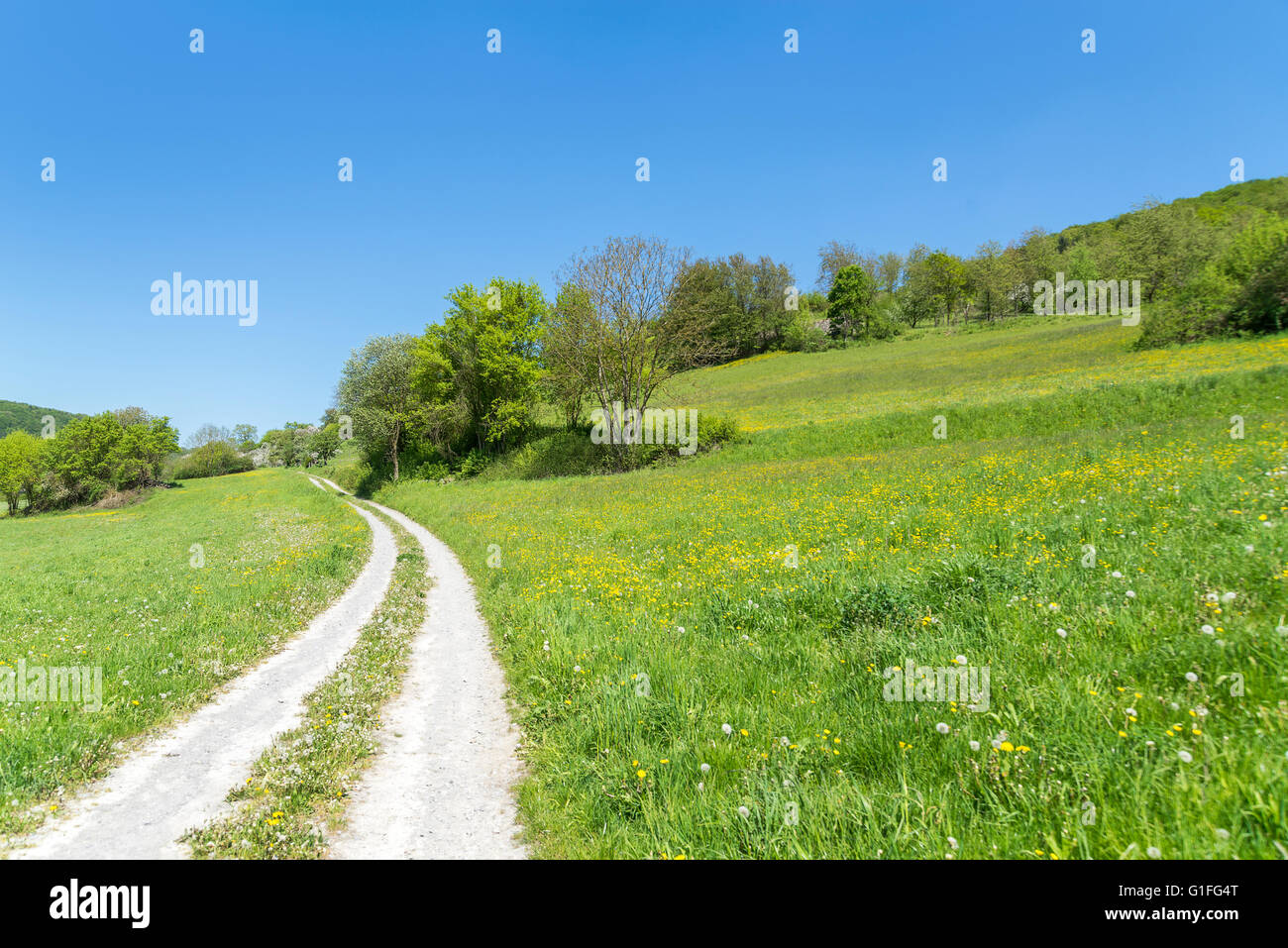 sonnig beleuchteten idyllischen Feldweg im Frühjahr in Hohenlohe, einem Stadtteil im Süden Deutschlands Stockfoto