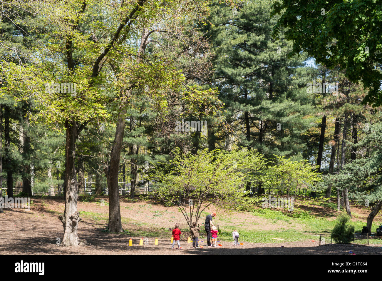Kinder spielen im beaufsichtigten Gruppe, Central Park, New York, USA Stockfoto