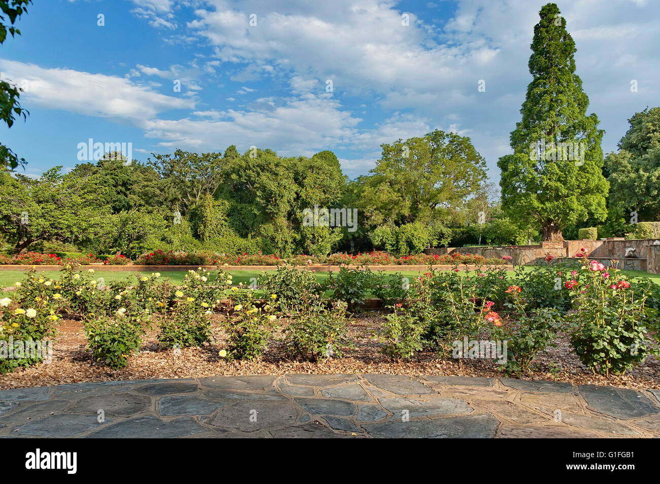 Fragment des Rosarium in Johannesburg Botanischer Garten, Südafrika Stockfoto