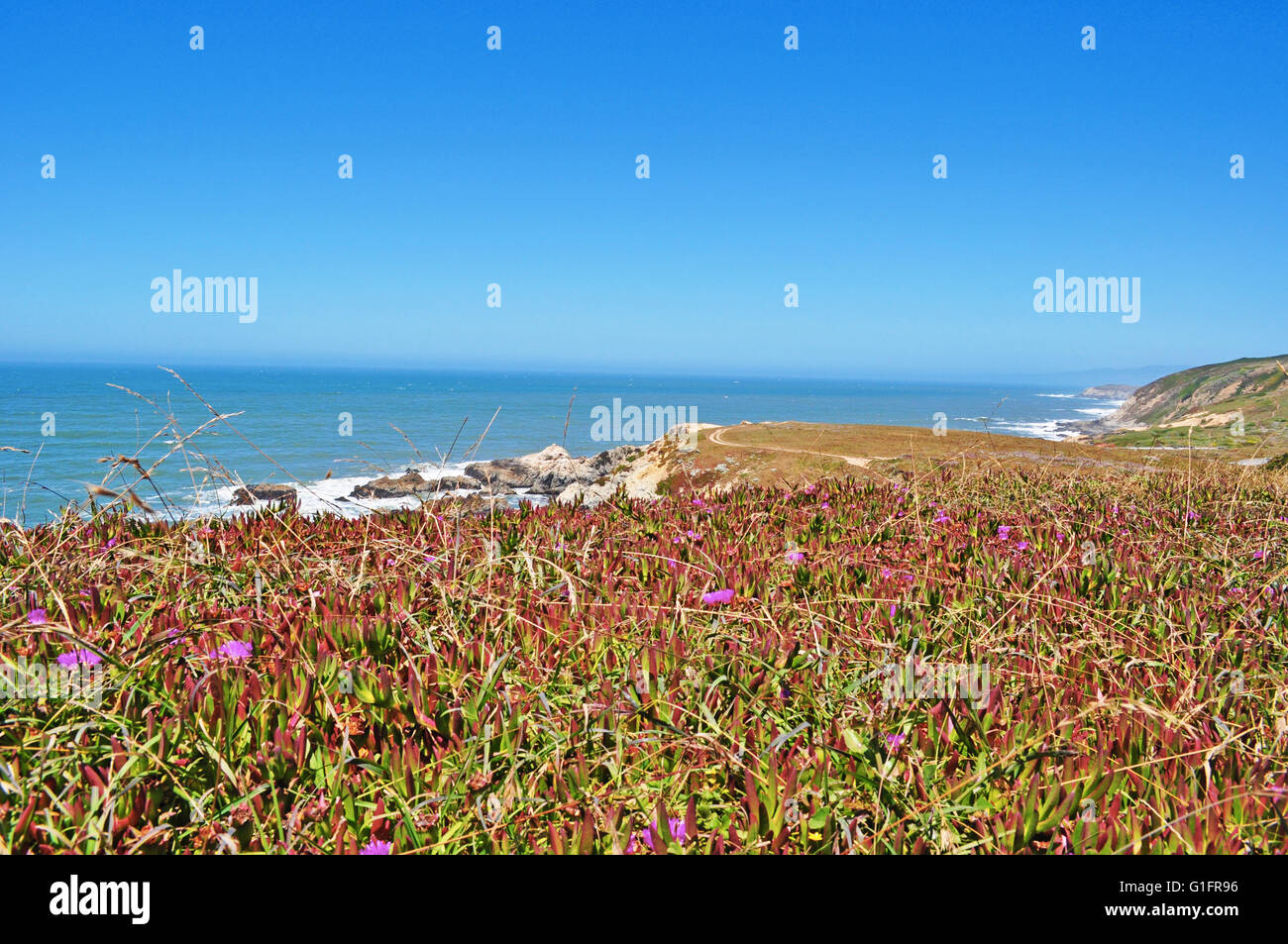 Kalifornien, Usa: Panorama Blick auf Pazifischen Ozean in Bodega Bay, bekannt als die Einstellung für Alfred Hitchcocks Film die Vögel Stockfoto