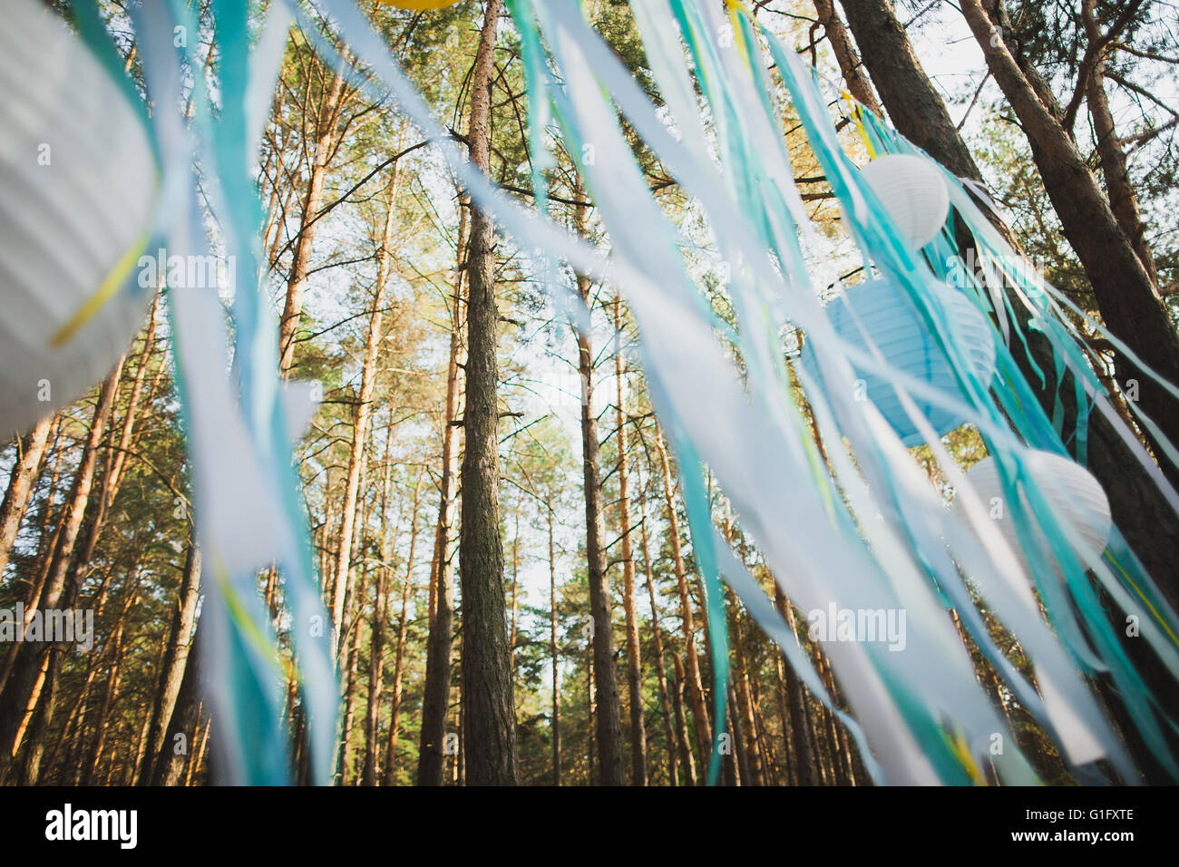 Schöner Ort für außen Hochzeitszeremonie in Holz. Hochzeit-Einstellungen. Festliche Dekoration durch blaue und weiße japanische gemacht Stockfoto