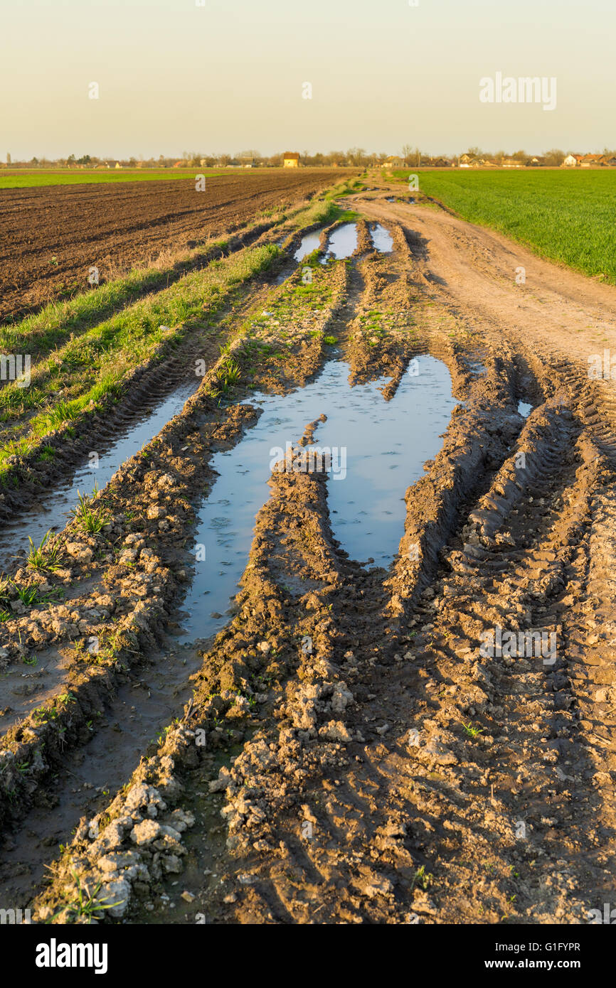 Agrarlandschaft, Ackerkulturen Feld Stockfoto
